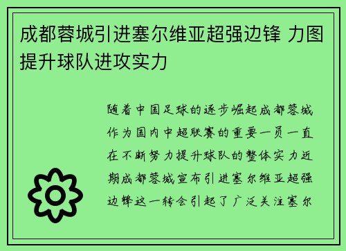 成都蓉城引进塞尔维亚超强边锋 力图提升球队进攻实力