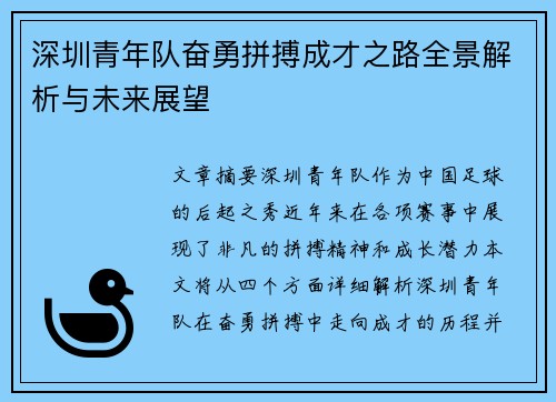 深圳青年队奋勇拼搏成才之路全景解析与未来展望 深圳青年队奋勇拼搏成才之路全景解析与未来展望